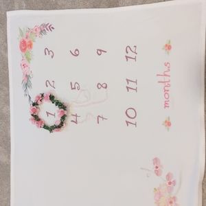 Newborn Monthly photo backdrop